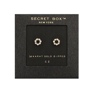 CZ Mini Circle Studs